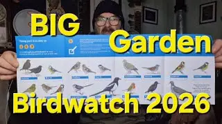 RSBP BIG Garden Birdwatch 2026 | Dave's Allotment Garden and Ting