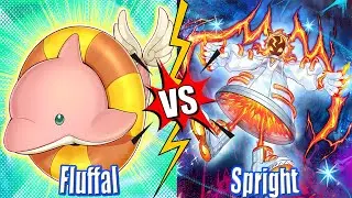 Fluffal vs Spright - High Rated DB Yu-Gi-Oh! | Dueling Book