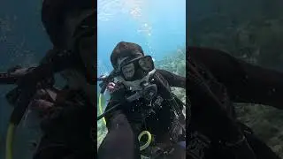 P az y tranquilidad #travel #lifestyle #mar #vida marina #paz #naturaleza #turismo #buceo