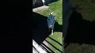 я в деревне