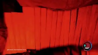 The Forest Live