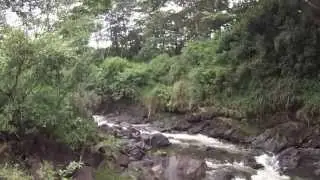 JenJones Goes Hiking - Boiling Pots - Hilo Hawaii