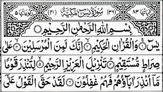 Surah Yasin (Yaseen) | Daily Quran Tilawat Surah Yasin Surah Rahman Surah Yaseen