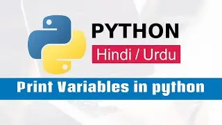 Printing Variables in Python - A Beginner's Guide Hindi/Urdu