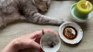 Чашка дня! Кофейные подсказки ☕️