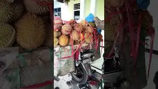 DURIAN LOKAL WONOSALAM terkenal dengan rasa khas Manis pahit.