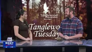 Tanglewood Tuesday: Meet Rupert the Box Turtle!