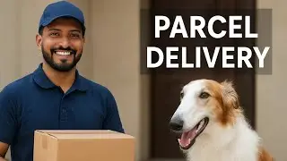 Porter And Borzo Parcel Delivery Earning Local Area