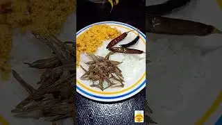 Simple Home-Style Dish| Cooking Magic With Mihi #food  #cooking #foodie #homemadefood #recipe #lunch