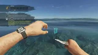 Stranded Deep-In&iacute;cio em portugu&ecirc;s