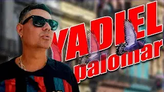 PALOMAR DE YADIEL en Pastorita, Matanzas. CUBA