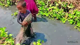 Big catfish fishing - Amazing small boy catching big catfish by hand