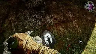 Far Cry Primal - Daysha Hand Location { South West Ring Wall Outpost }