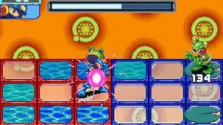 MegaMan Battle Network Project Genesis Vs ToadMan