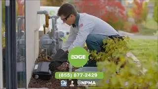 Rodent Exterminator Services | Local Rodent Removal