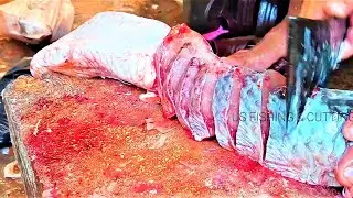Amazing Fish Cutting In India   Very Rare Egg Collections #Us Fishing & Cutting