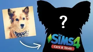 Создаём страницу! — StacyPlays The Sims Кошки и собаки (Эпизод 4)
