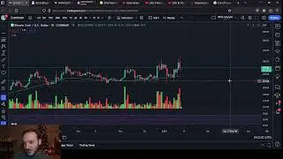 COMP and BCH Price Analysis 1/12/2023