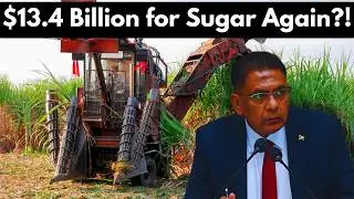 $13.4B for GuySuCo: Can Sugar Really Turn Profitable by 2030?