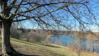 4K A Sunny Day Walk in Winter ☀️ &bull; Bucharest &bull; Brancoveanu Park Walk &bull; February 04, 2021