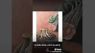 Stop deforestation