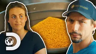 Tyler Saves Parker's Plant From Disaster! | Gold Rush