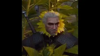 Let's find Ciri together! Witcher 3