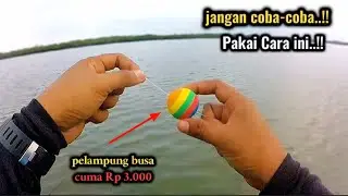 Sampai Kewalahan.!! Mancing di Muara Pakai Pelampung Langsung Di Hajar Babon Predator