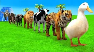 Long Slide Game With Cow Elephant Gorilla Hippopotamus Tiger - 3d Animal Game - Funny 3d Animals
