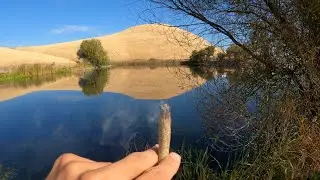 Beautiful Morning Faded in Nature
