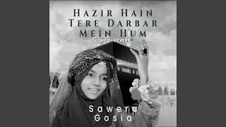 Hazir Hain Tere Darbar Mein Hum (Lofi-Mix)