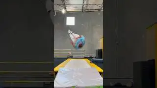 What you see vs what I see (540 dive roll) #parkour #tricking #dive #freerunning