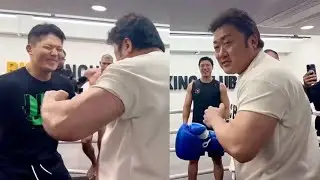 Korean Actor Don Lee (Ma Dong-seok) Boxing | MS Talkies