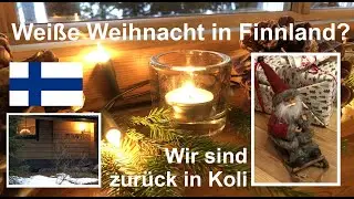 Weihnachten in Finnland: Wir sind zur&uuml;ck in Koli und bereiten unsere H&uuml;tte auf Weihnachten vor