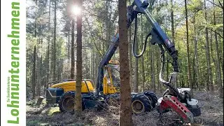 LU Wittek: Erfolgreich auf dem Holzweg
