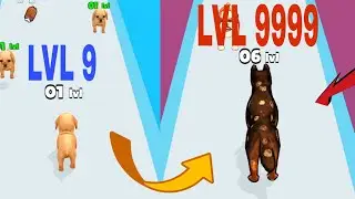 Dog Evolution Run Android gameplay