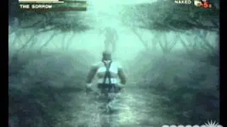 disturbing video game music #8: the sorrow~everlasting fight