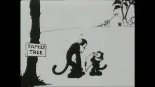 Felix and the Monkeys