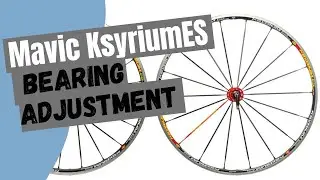 Mavic Ksyrium ES Bearing Adjustment 🚲🔧