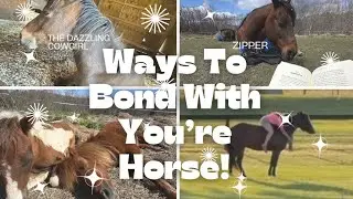 Six Tips To Have A Strong Bond With Your Horse!