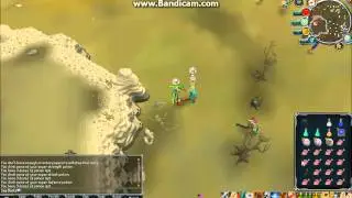 DDS RAMBO