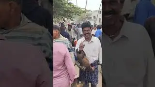 #వడ్డాదిసంతలోనాటుకోళ్లు #సంక్రాంతి  #పందెంకోడి #waddadi #anakapalli