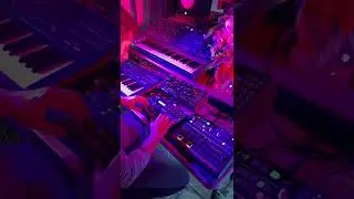 Synthesizer #dawless setup using analog #synths electronic #music. #beats