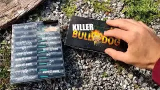Dumbum 2g VS killer bulldog 2g