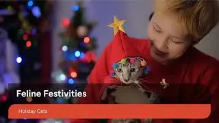 &ldquo;Cute Pet Costumes You&rsquo;ll Love 🎃 #PetCostume #PetFashion #DressUpPet&rdquo;