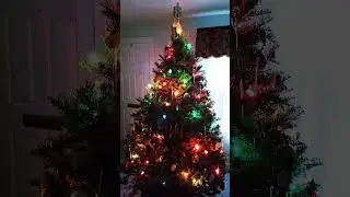 Colorburst tree #christmastree #colorburst #lights #christmas