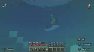 I found a big salmon in my minecraft server :D