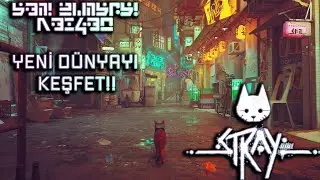 MİYAVLADIĞIMIZ DOĞRUDUR, NEDEN? ÇÜNKÜ KEDİYİZ | STRAY