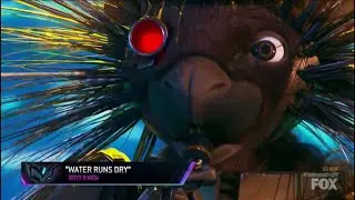 Robopine Performs 
