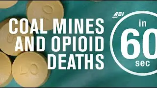 Coal mining and opioid deaths | IN 60 SECONDS